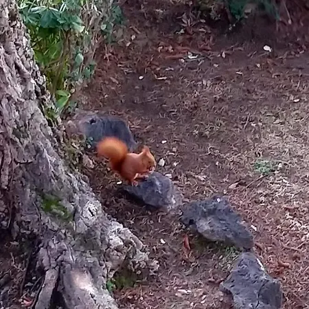 Vue Mer, Piscine Panoramique, Parking Couvert *